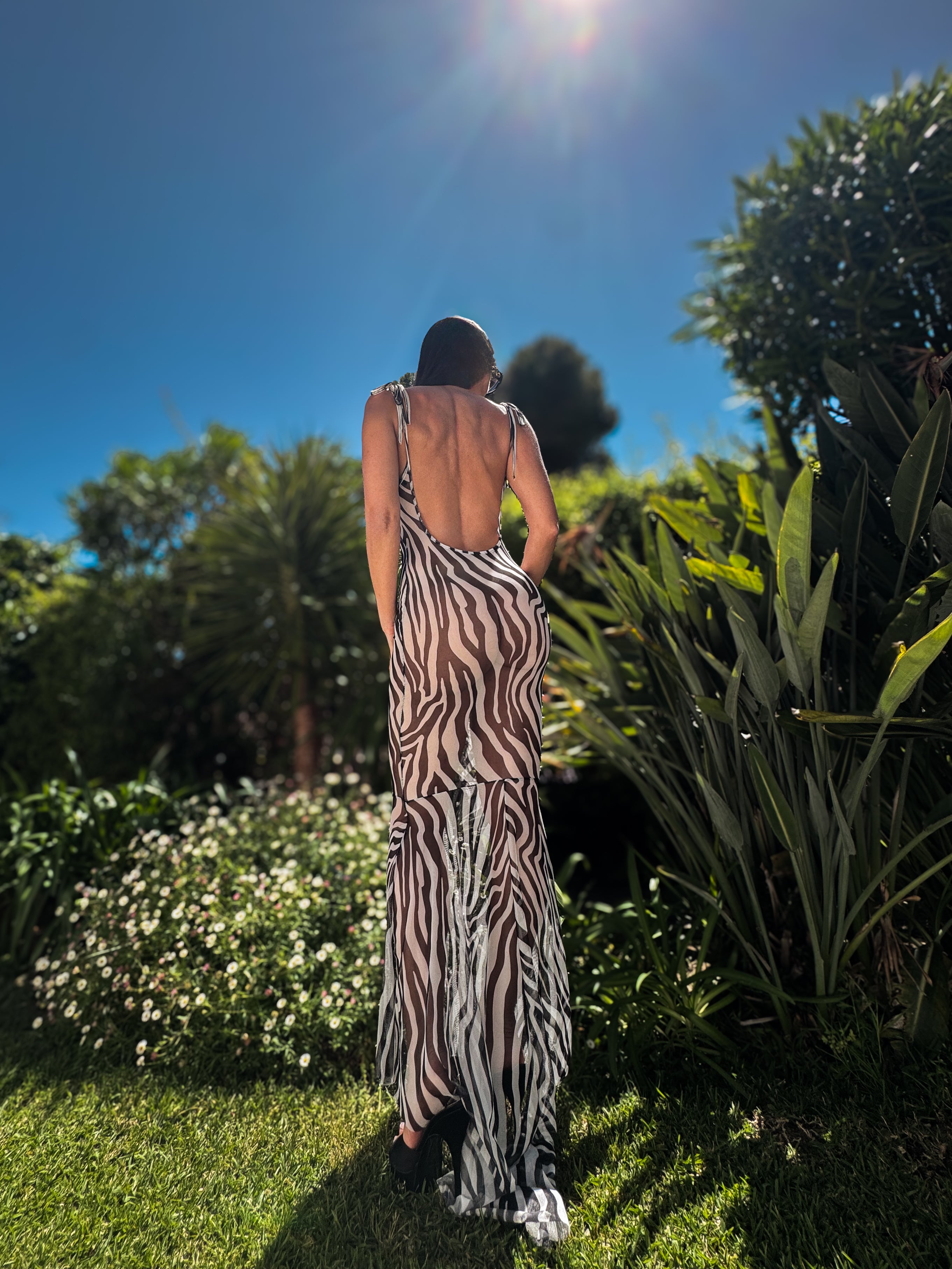 NIA ZÈBRE